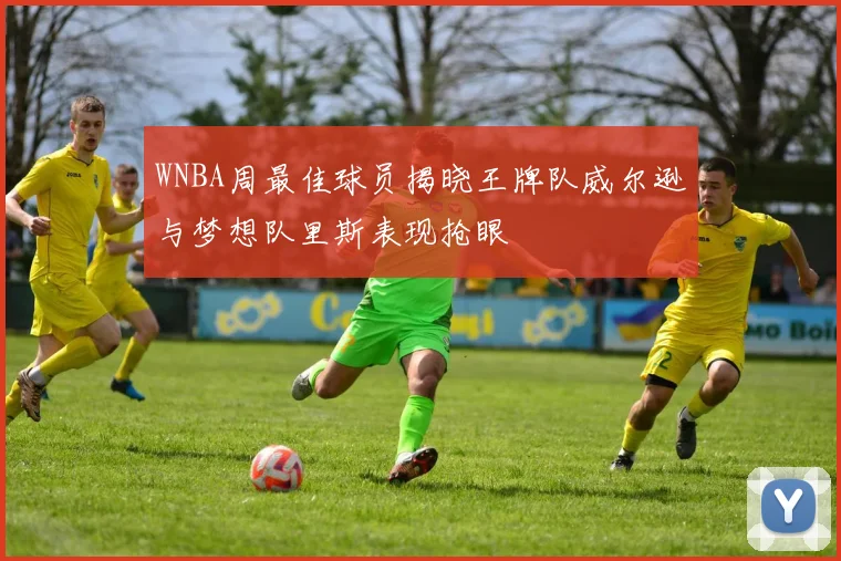 WNBA周最佳球员揭晓王牌队威尔逊与梦想队里斯表现抢眼